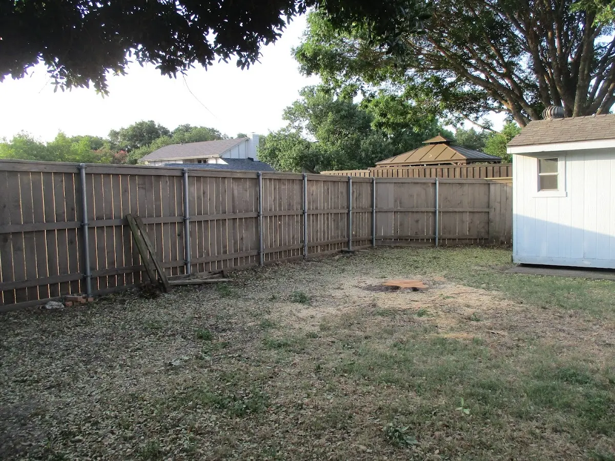 Cleared yard after professional tree removal in Xenia
